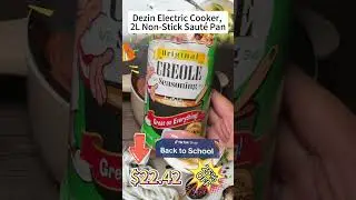 Compact electric cooker for noodles & ramen