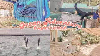 Ocean Adventure Subic Bay🐬 animal shows🦨🦇🐬🦭