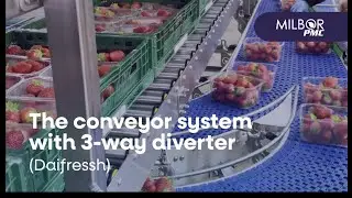 The conveyor system with 3-way diverter (Daifressh) | Milbor PMC