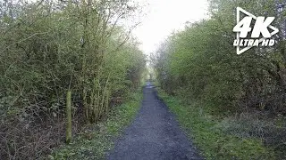 Virtual walk through a perfect relaxing nature trail (Nature Strolls)