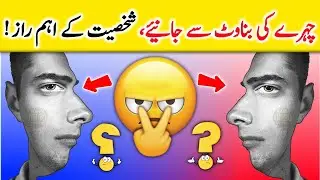 Face Reading Techniques | Face Reading In Urdu | Hania Urdu Stories