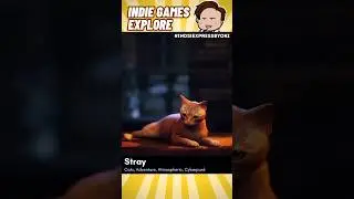 Stray - Indie Explore #gaming