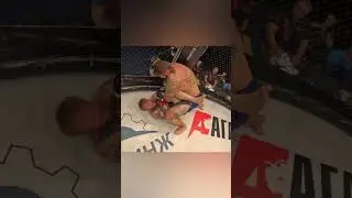 Viral video of 2024 in MMA Series