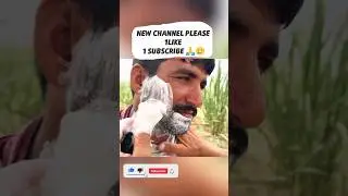 asmr hair cutting sound asmr beard shave in village #foryou #foryou #foryou #asmrvideos