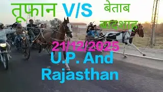 राजस्थान और यू .पी. हॉर्स रेस 21/12/2025 सुजानगढ़ हॉर्स रेस 10 किलोमीटर विनर up का तूफान घोड़ा 
