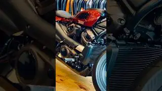 Harley Davidson Sportseter S #harleydavidsonsportsters #shorts #bikeedits #readysetraceoff