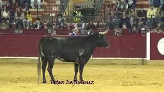 Concurso de jóvenes promesas Zaragoza 06/10/2018 - Grupo 1 - HD