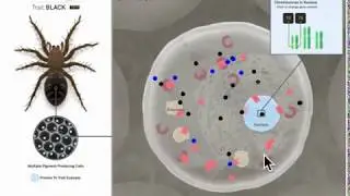 NS2.2 Traits and Reproduction Sim