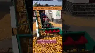#agriculture #farmmachines#thresher#asmr#fypシ#tools #work #equipment#argriculture #machine #farming