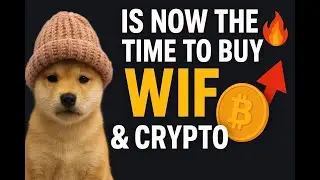🚀 Is NOW the Time to Buy WIF & Crypto? | Don&rsquo;t Miss This Opportunity! 🔥