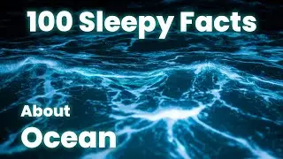 Relaxing Ocean Facts for Deep, Peaceful Sleep