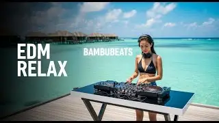 Sunset Breeze Live Mix 🌺🎶 24/7 Tropical EDM Radio – Dreamy Summer Flow Inspired by Kygo & Avicii