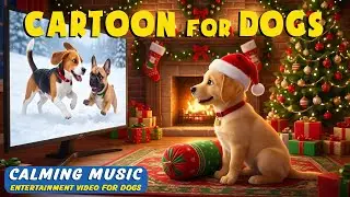 Dog Cartoon: Christmas Cartoon for Dogs to Watch When Home Alone - Dog TV & Relaxing Music for Dogs