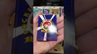 Complete Japanese Fossil Set