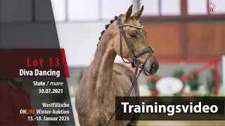 Online Winter-Auktion 2026 Training Lot 13 Diva Dancing Stute v. Don Martillo - Livaldon