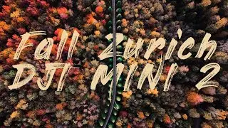 Zurich In Fall - DJI Mini 2 (Cinematic 4K Video)