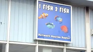 1 Fish 2 Fish Dartmouth Aquarium Supplies