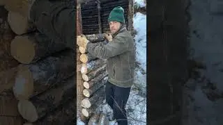 Stack logs at our bushcraft shelter #bushcraftshelter #bushcraft #bugout #shelterbuilding #survival