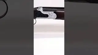Quick Look at the CZ Wingshooter Elite 12 Gauge! #cz #czshotguns #czusa