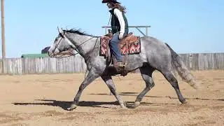 GO SHAKE EM CODY 