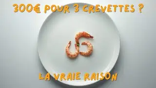 Pourquoi les Restaurants &Eacute;toil&eacute;s Servent des Portions MICROSCOPIQUES ? (Manipulation)