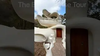 The Most Unique Airbnb in Texas 🌀