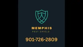Best Local Pest Control Company in Memphis