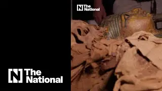 This Egyptian mummy underwent a CT scan in an Italian hospital
