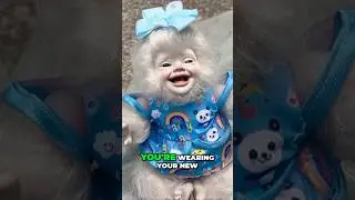 Baby Yeti Icelyn plays on the armadillo