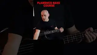 Flamenco bass lines