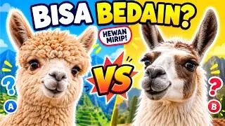Tes Kejelian Hewan Mirip 👁️ Yakin Matamu Jeli?