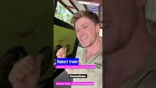 Robert Irwin returns at the Australia Zoo #Shorts