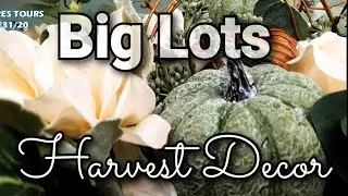 Big Lots Harvest Fall Decor 🍂 Fall Decor 2020