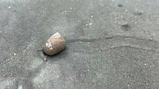 Making A Snail Trail