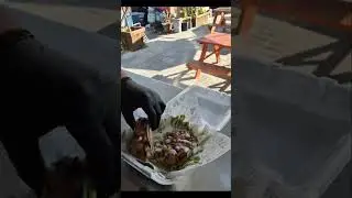 Please give me extra sauce #funny #funnyvideo #fun #shorts