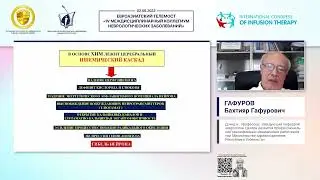 Рациональные подходы к диагностике и лечению хронической ишемии мозга (Гафуров Бахтияр Гафурович)