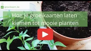 Groeikaart Plantinstructies video 1