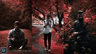 Lightroom Mobile Presets | Dark Red Preset.