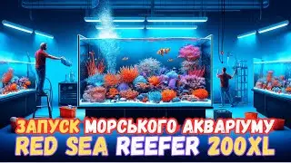 Запуск морського акваріуму на 200 літрів Red Sea Reefer 200XL - Створення декорації для коралів