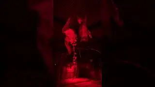 Facebook Livestream with Emmy 2/22