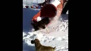 VID 20110204 155516