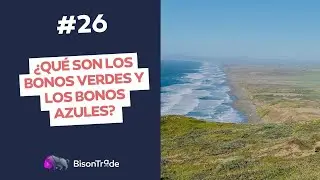 &iquest;Qu&eacute; son los bonos verdes y los bonos azules?