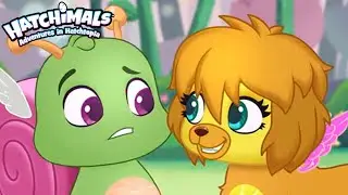 Can We Be Best Friends? | Hatchimals Adventures in Hatchtopia | Cartoons for Kids