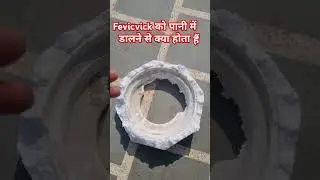 Fevicwik से ये क्या हो गया। #shorts #sciencefacts #expriment