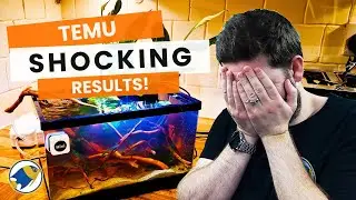&laquo;Идеальный&raquo; аквариум от Тему&hellip; Полная катастрофа или аквариум мечты?!
