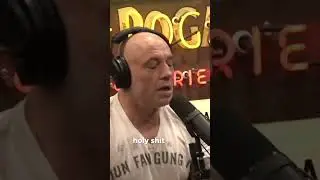Joe Rogan talks about 