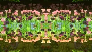 guru guru - may dream