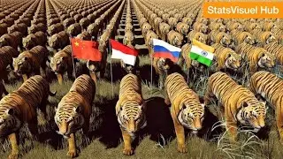 Populations de Tigres par Pays 2026 &ndash; Classement Anim&eacute; 3D !