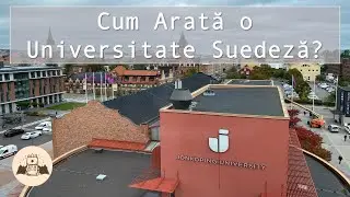 Cum Arată o Universitate din Suedia? | Învață la Jönköping University
