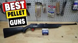 Best Pellet Guns In 2021 - Top 10 Pellet Guns Review